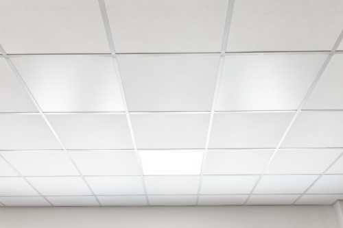 Panelwave