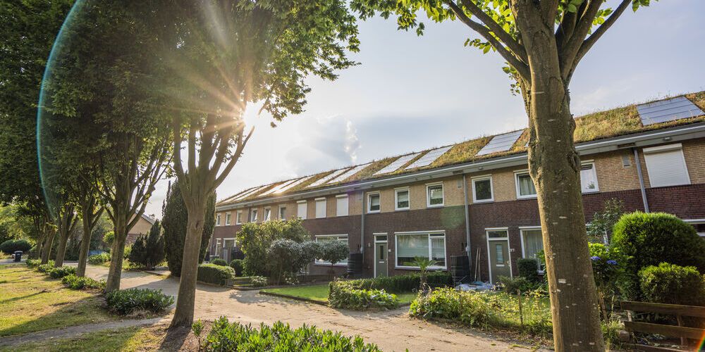 Isoleren met biodivers groen dak